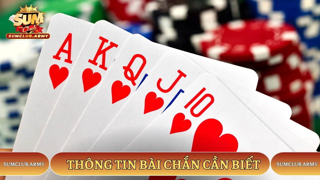 Thông tin bài chắn cần biết