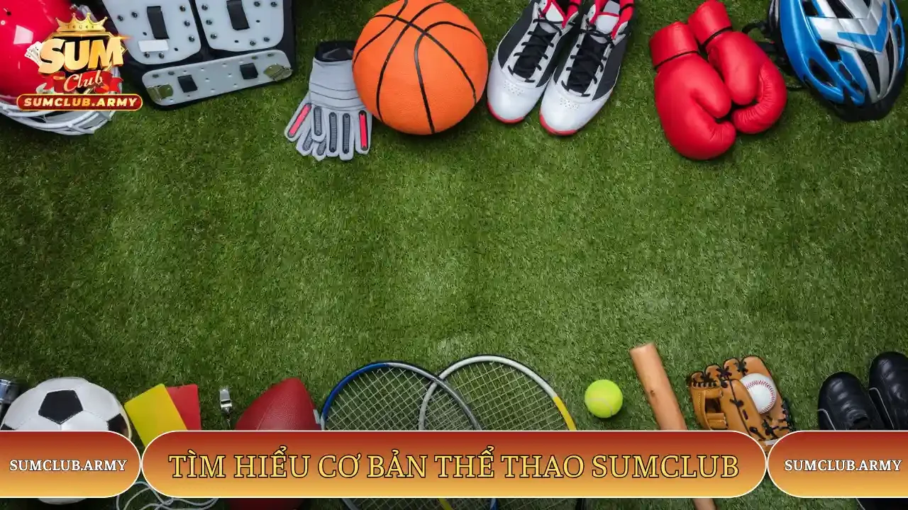 Tìm hiểu cơ bản Thể thao Sumclub